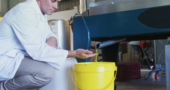 Technician examining olive oil alt