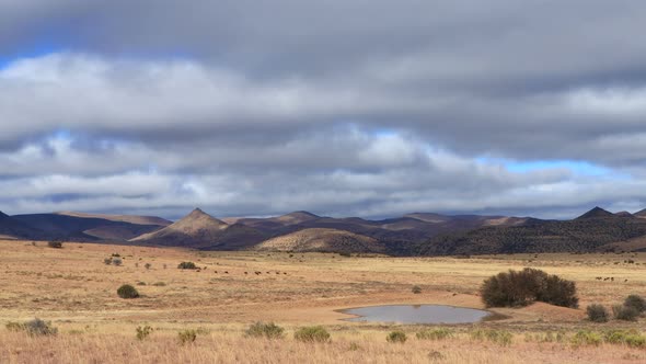 Time Lapse - Mountain Zebra National Park alt