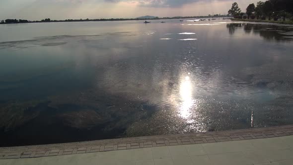 Water pollution with the sun reflection in the grey water. alt