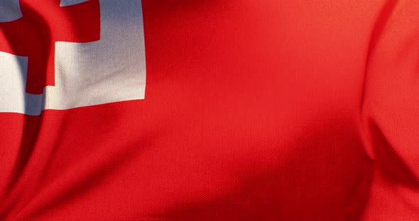 Tonga  - Flag - 4K alt
