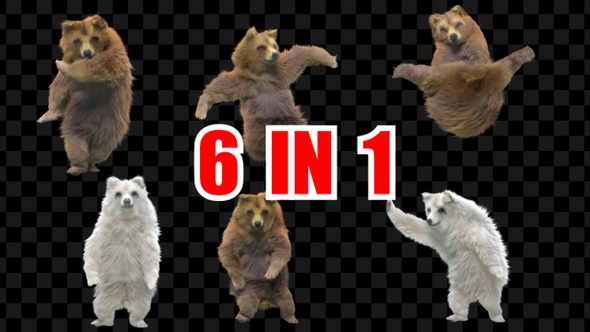 Bear Dancing 6 Pack alt