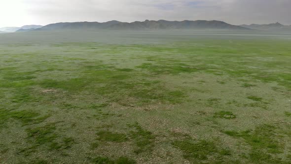 Vast Empty Meadow of Central Asian Lowland alt