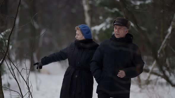 The Slow Motion of an Elderly Woman and Man in Love Walking Through the Woods on a Winter Day alt