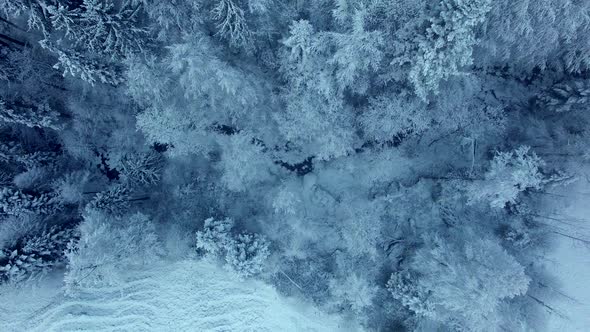 Winter Landscape Nature Wilderness alt