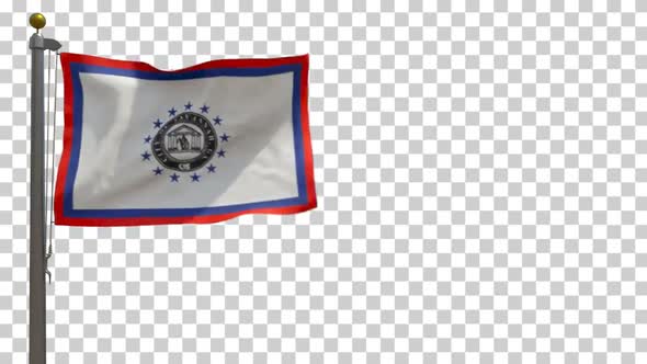 Savannah City Flag (Georgia, USA) on Flagpole with Alpha Channel - 4K alt