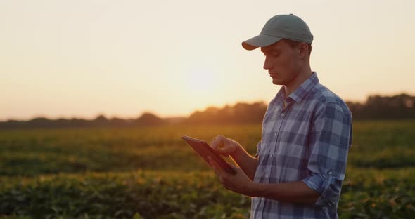 A Young Farmer Works in the Field Standing with a Tablet in His Hands at Sunset alt