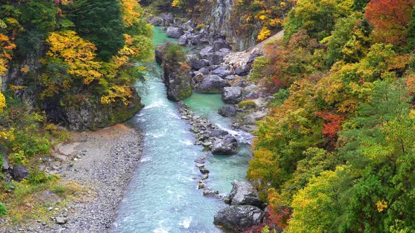 Beautiful autumn scenery of colorful leaves and fresh clean water in Kinugawa river Nikko Japan