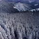 Drone Aerial Fly Above Winter Forest Unveiling Mountain Valley - VideoHive Item for Sale
