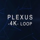 Plexus - VideoHive Item for Sale