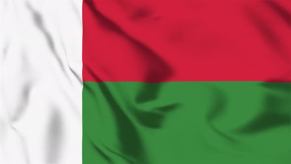 4K Madagascar Flag - Loopable
