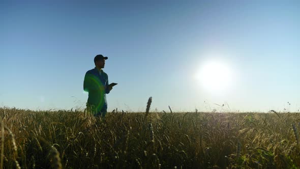 Farmer Businessman Working on Tablet Standing in Middle Wheat Field at Sunrise alt