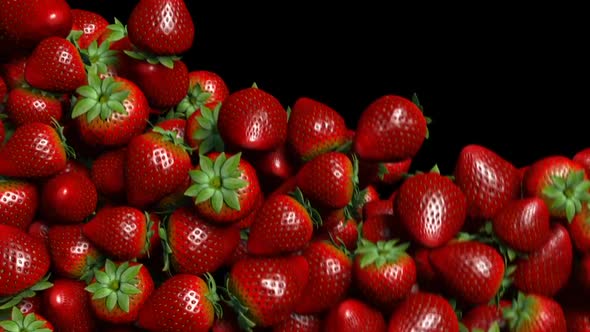 Strawberries Transition