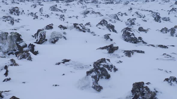Iceland Snow Covered Lava Field In Winter 1