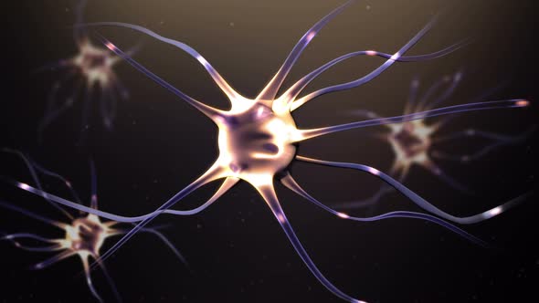 Neurons Background, Motion Graphics | VideoHive