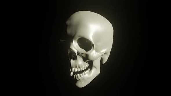Skull Darkness 01 4k