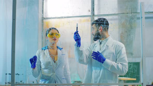 Beautiful Woman Scientist and Man Together End To alt