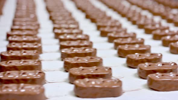 Conveyor with Passing Chocolate Bars