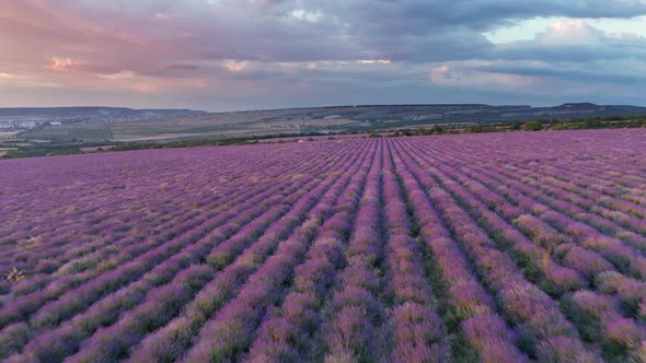 Aerial Nature Landscape Video