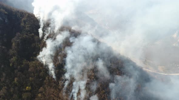 An aerial and moving shot showing the woods in flame, thick smoke covering the area