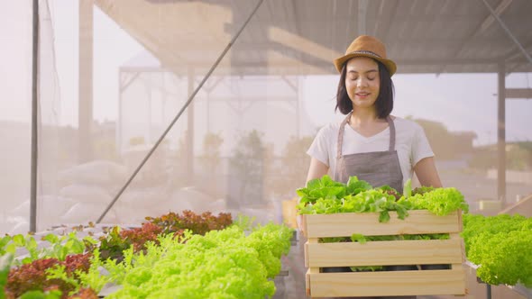 Portrait of Beautiful farmer girl carry box of vegetables green salad in hydroponic greenhouse farm. alt