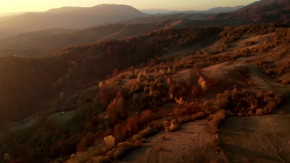 Aerial Slider Reveal Shot of Autumn Mountain Valley with Golden Trees
