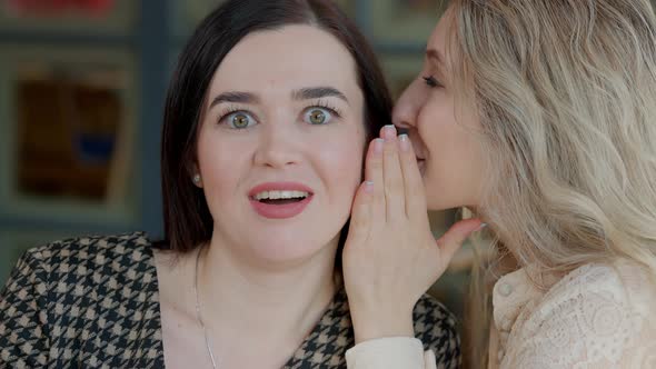 Closeup Face of Excited Young Woman with Surprised Facial Expression Listening Friend Whispering on alt
