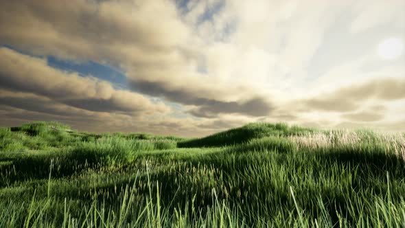 Storm Clouds Above Meadow with Green Grass alt