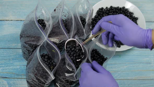 Packing Blueberries in Zipper Plastic Bags for Freezing. Frozen, Preservation Fruits, Berries Food alt