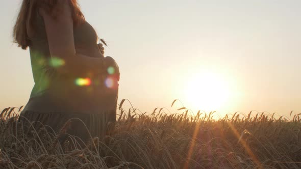 silhouette figure of happy pregnant red-haired young woman in dress standing in ripe wheat field alt