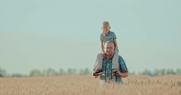 Happy Dad Holds His Son on His Shoulders and Walk Across the Field