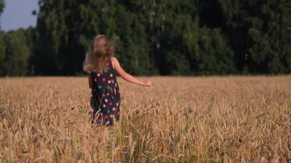 Cute Little Girl Running in a Summer Wheat Field alt