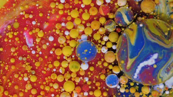 Red Blue and Yellowgolden Bubbles on a Red Background, Stock Footage