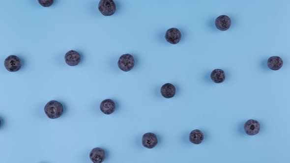 Rotating Background Berries of Blueberries on a Blue Background  the Concept of a Healthy Diet alt