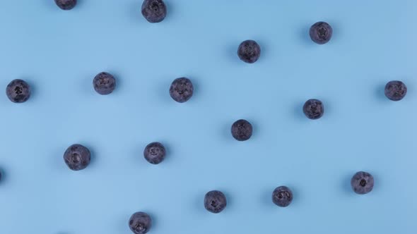 Rotating Background Berries of Blueberries on a Blue Background  the Concept of a Healthy Diet
