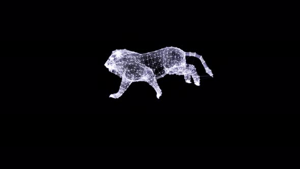 Lion Run 4k Alpha Plexus alt