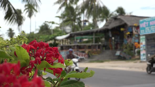Southeast Asia and Roadside Cafe