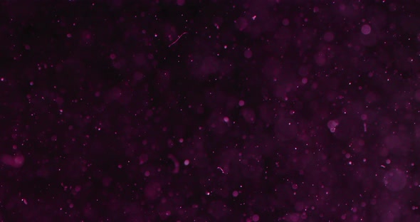 Purple Particles And Bubbles In Water Against Black Background alt