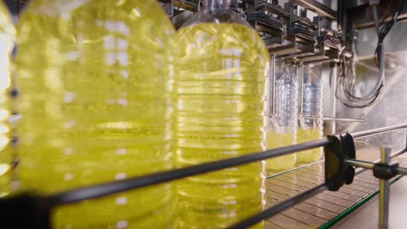 Automatic Line for Filling Bottles with Sunflower Oil alt