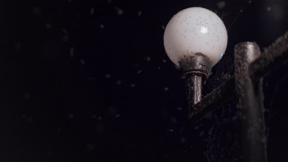 Swarm Insects Flying Around Street Lights at Night, Stock Footage ...