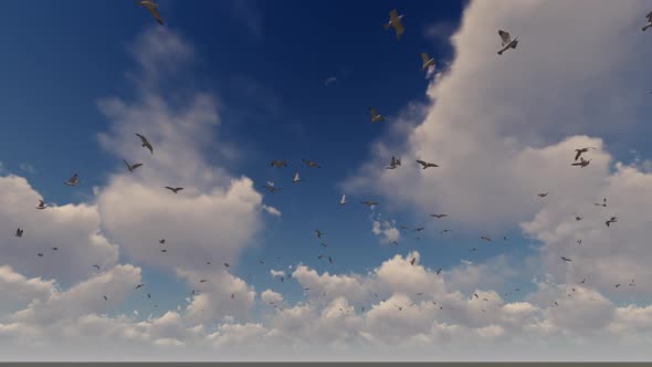 Birds Flock and Sky alt