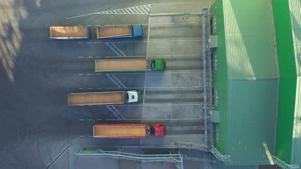 Top Down View of Trucks with Trailers Full of Grain Waiting to Unload Goods at the Elevator