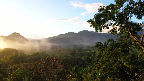 Jungle Sunrise Through Trees Into Foggy Mountains Aerial Shot alt