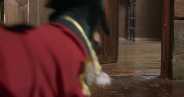 Black Dachshund Dressed As Pirate Runs to Wooden Ship Cabin alt