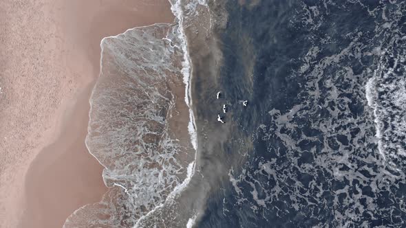 Winter swim, Baltic sea. Extreme sport. Aerial view of Poland alt