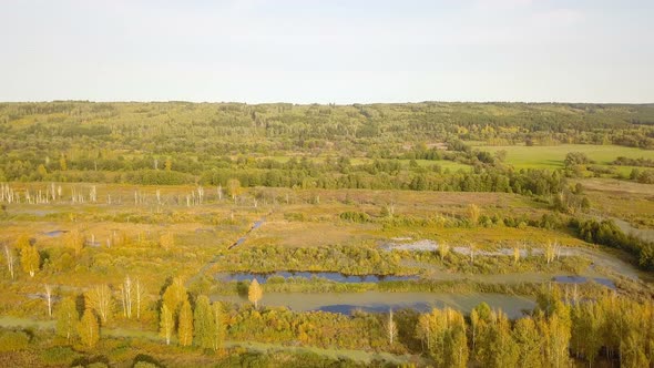 Autumn Forest River