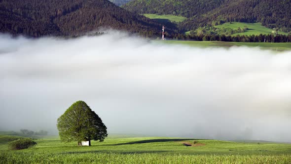 Fog in the Valley Near the Rural Dwellings in Spring
