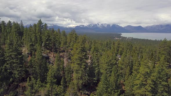 Drone footage of taken in south lake Tahoe of the forest, lake, and mountains. 4K alt
