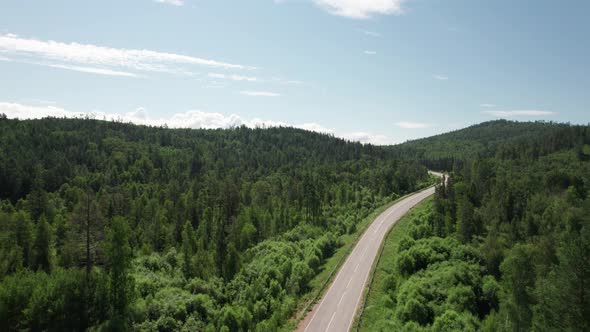 Winding Road in the West Siberian Taiga Ecoregion