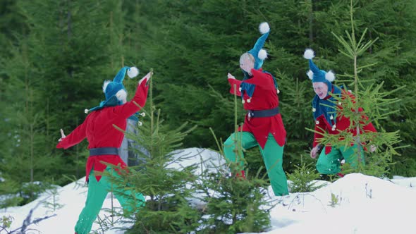 Three Christmas elves in a forest alt