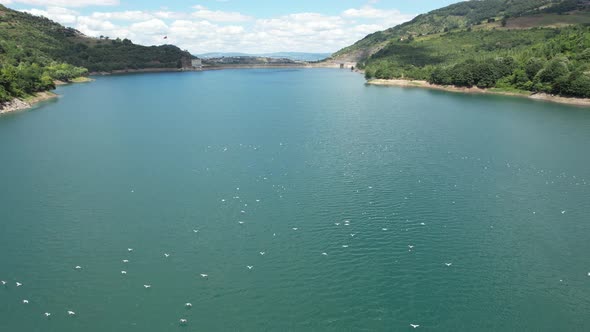 Aerial Lake and Birds alt